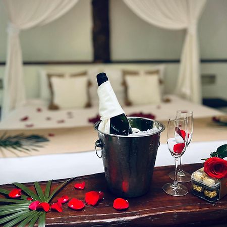 Pepem Holistic Experience - Peaceful Retreat Near Tulum (Adults Only)别墅 外观 照片