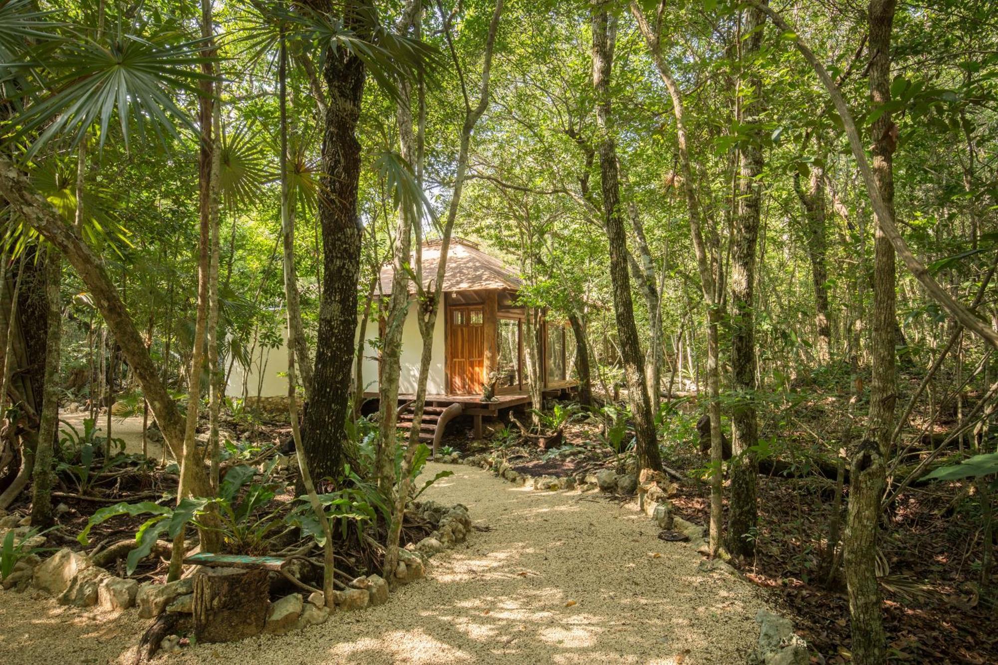 Pepem Holistic Experience - Peaceful Retreat Near Tulum (Adults Only)别墅 外观 照片