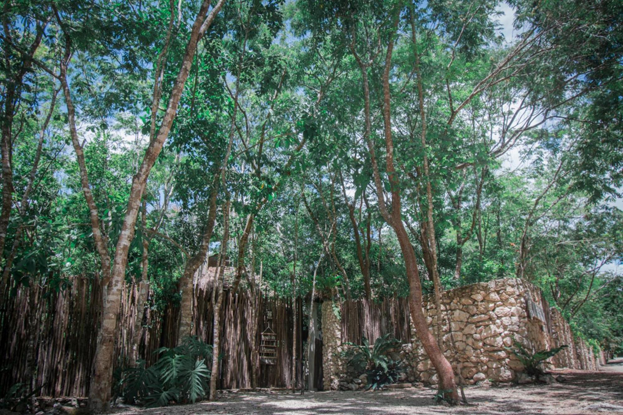 Pepem Holistic Experience - Peaceful Retreat Near Tulum (Adults Only)别墅 外观 照片