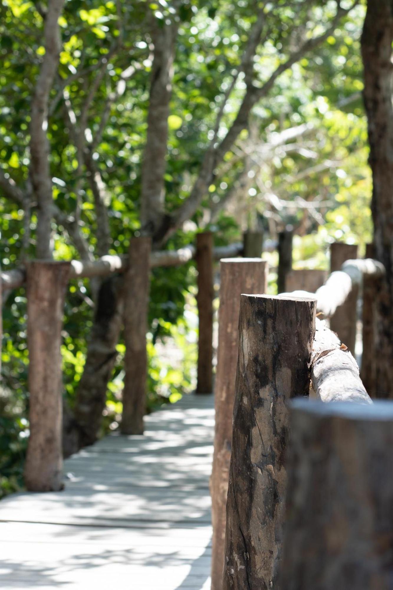Pepem Holistic Experience - Peaceful Retreat Near Tulum (Adults Only)别墅 外观 照片